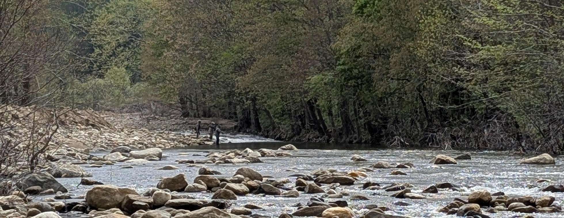 2nd Annual Haywood Fishing Tournament